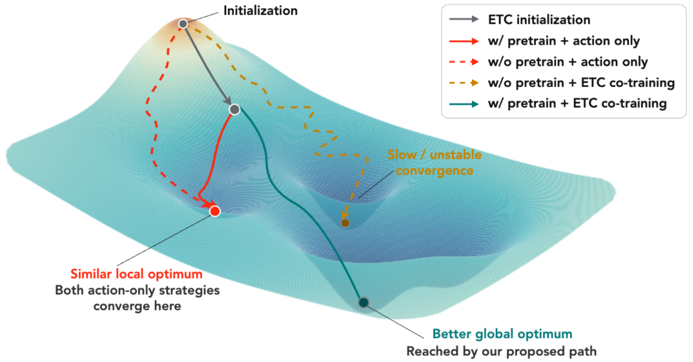 ETC pathway provides a smoother route toward generalizable VLA policies